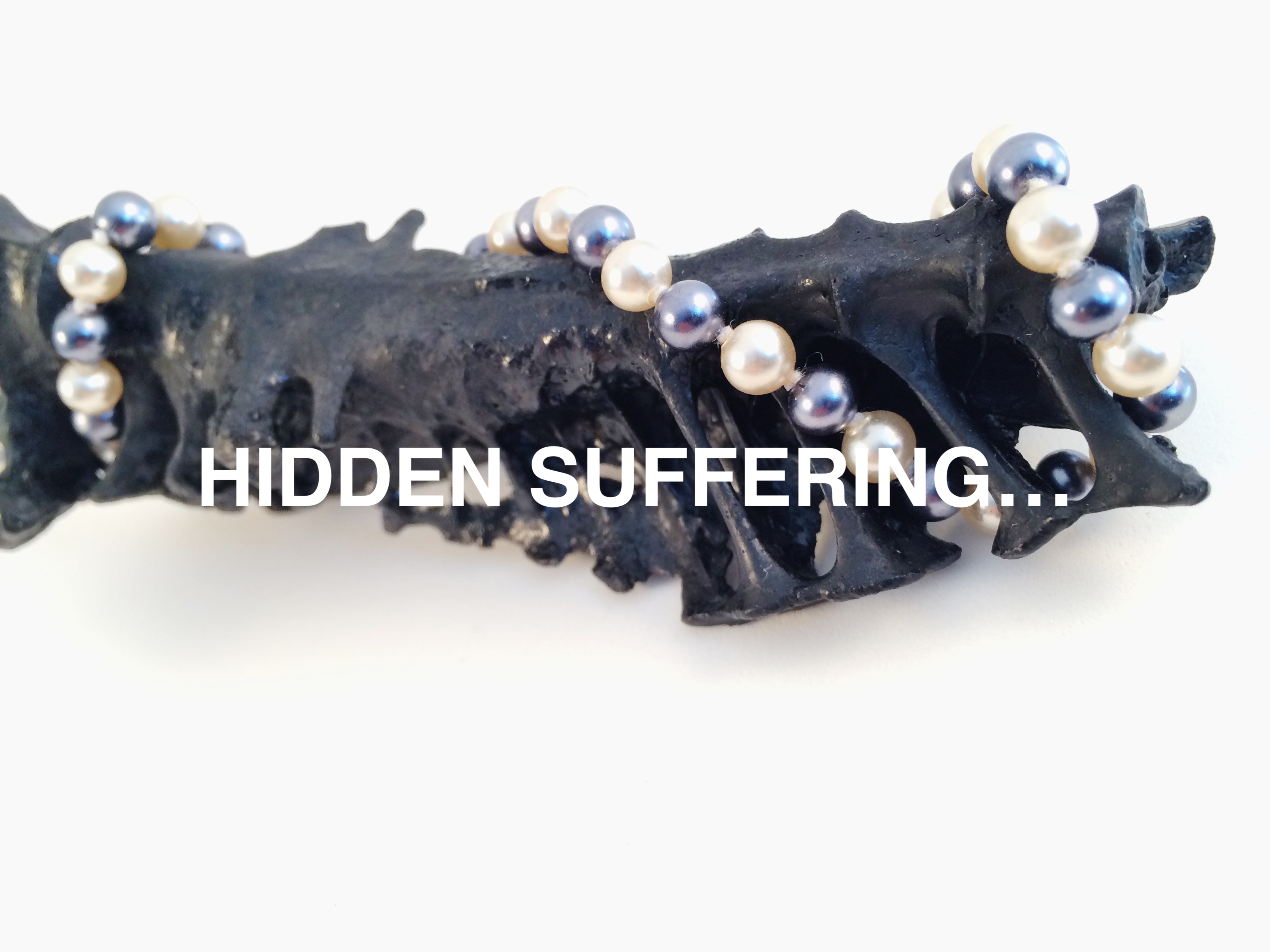 HIDDEN SUFFERING…